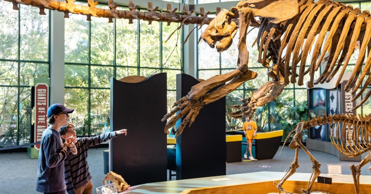 Picture of Mississippi Museum of Natural Science