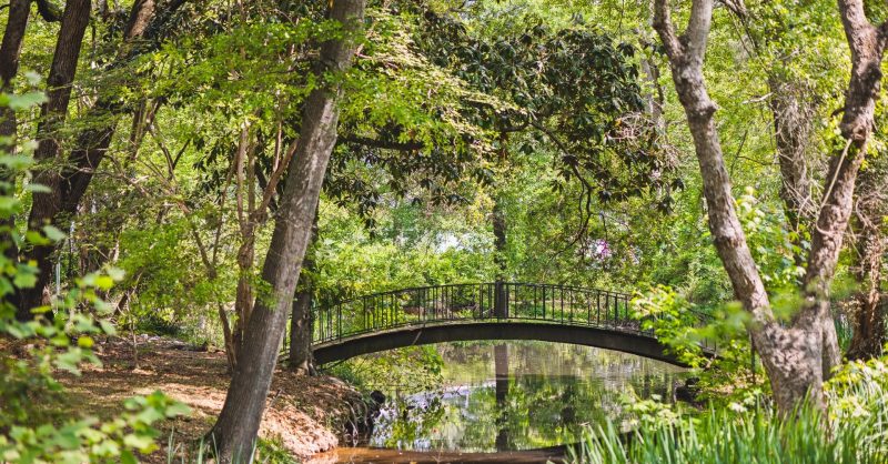 Mynelle Gardens | Visit Jackson